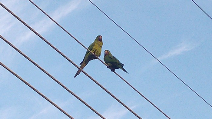 2013-10-13_06-40-38_189