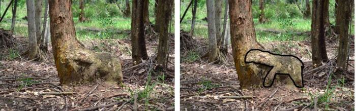 Pareidolia otica 1 e 2