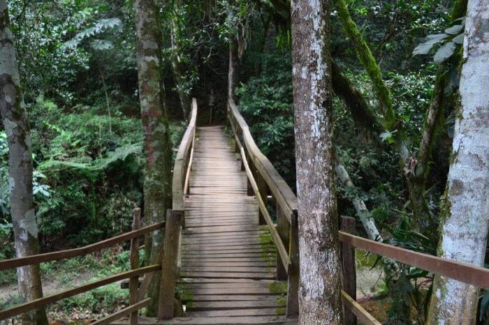 ponte cachoeira lageado