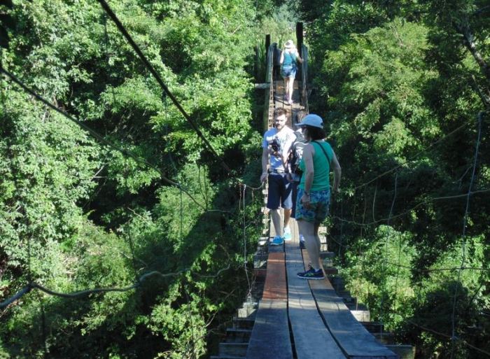 prefeitura picada café gov br