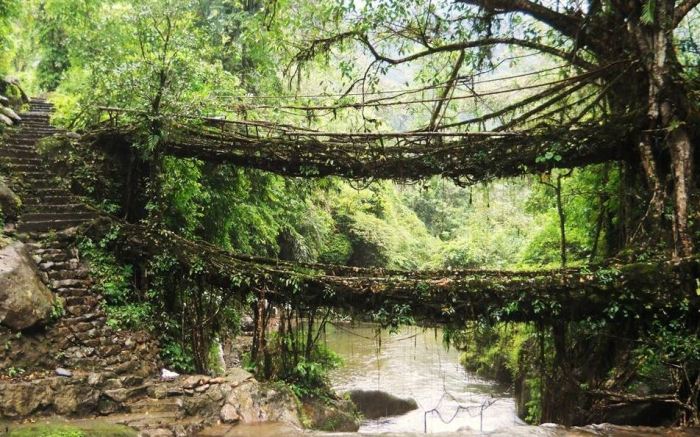 ponte natural 1 - cherrapunji