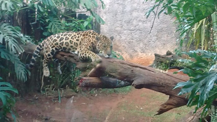 img_20160703_152118952