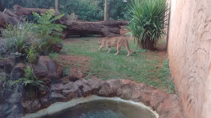 img_20160703_152406430