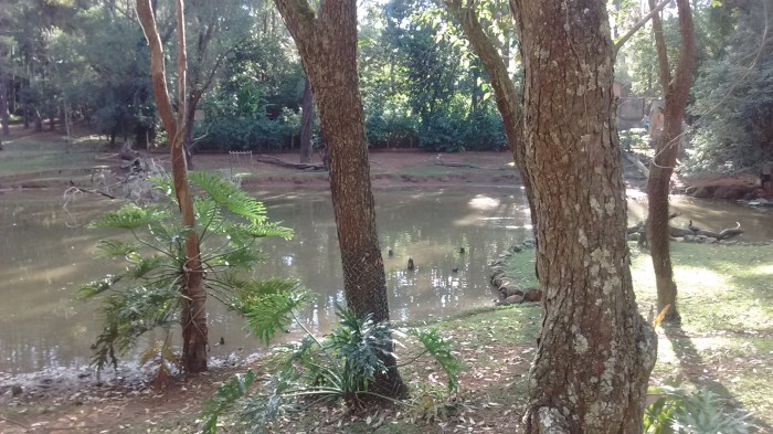 img_20160703_155150185