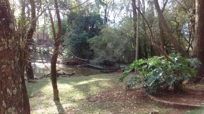 img_20160703_155204966