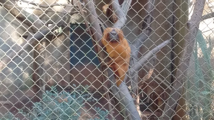 img_20160703_155923806