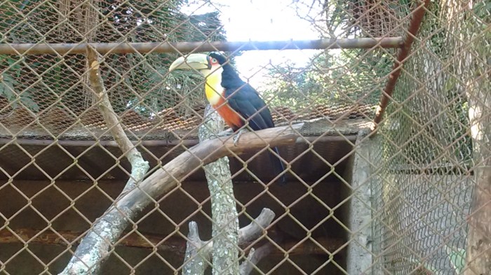 img_20160703_160151773