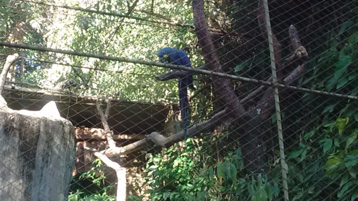 img_20160703_160318106